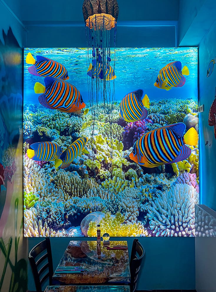 Aquarium mit Kaiserfischen und Korallen, blau beleuchtet