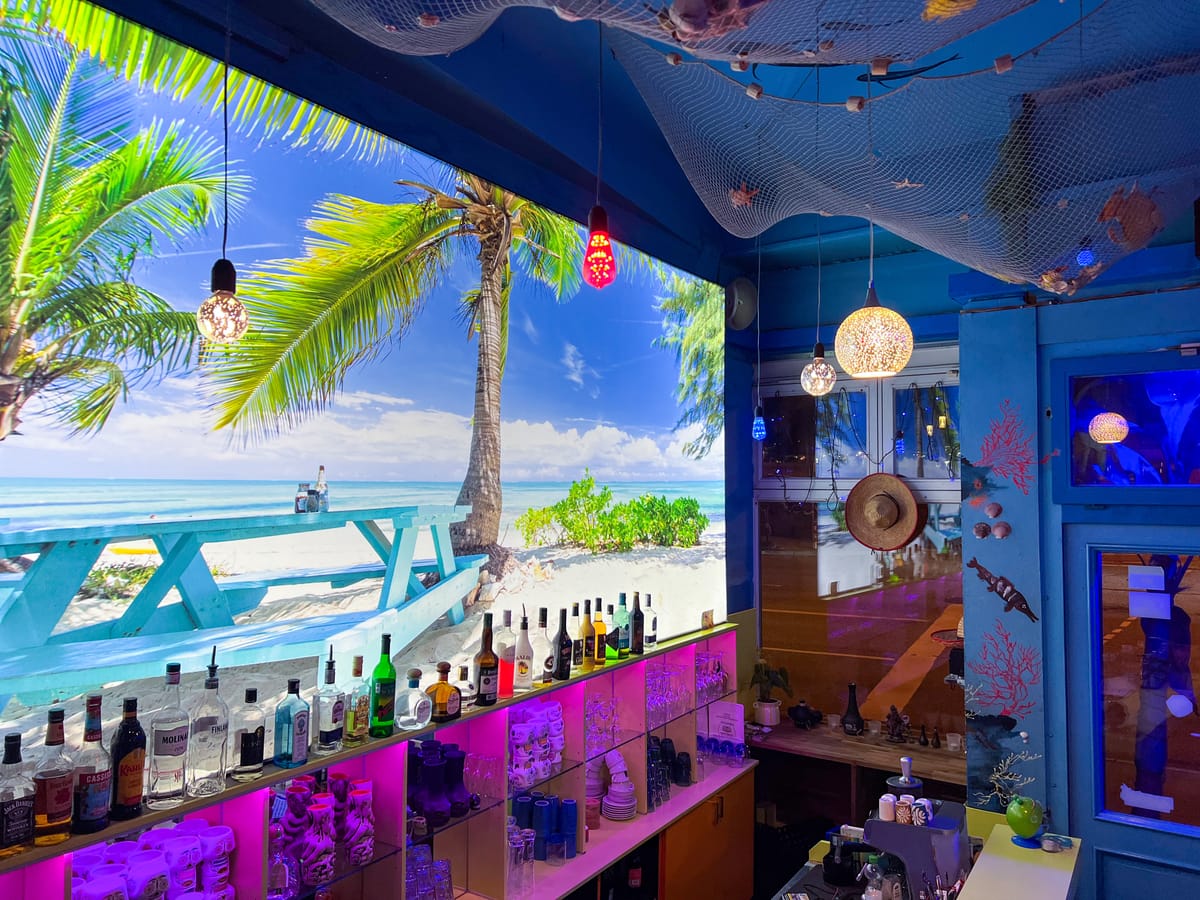 Blick von der Bar auf das Wandbild mit Palme und Meer