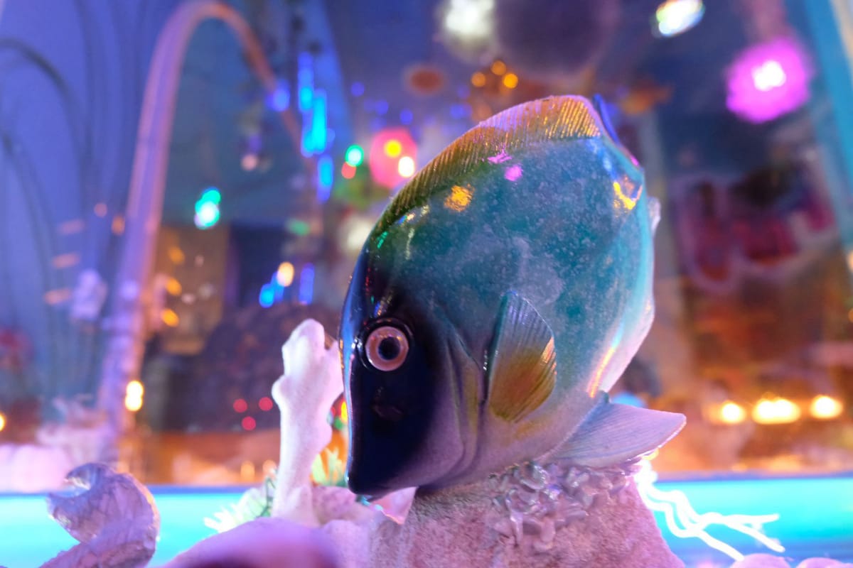 Ein bemalter Fisch aus Holz vor dem Aquarium